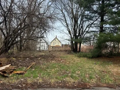Residential Land in Cleveland, OH