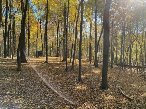 Kuttawa Hunting and Timber Land