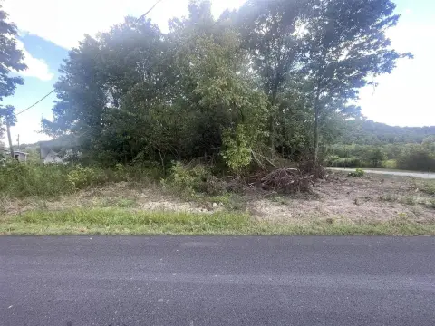 Wooded Lot in Boston, KY