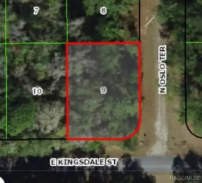 Citrus Springs Buildable Homesite