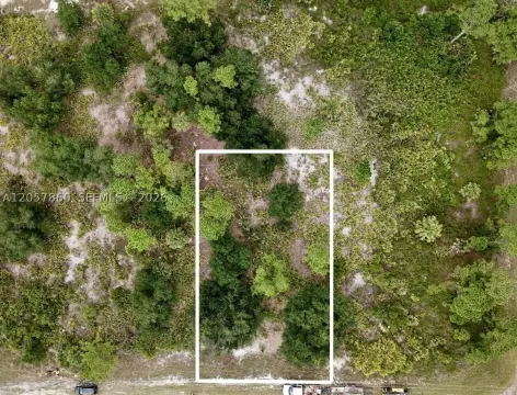 Commercial Land in Activity Center