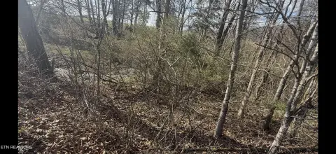 Unrestricted Acreage with Build Options