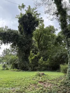 Wooded Lot with No Restrictions