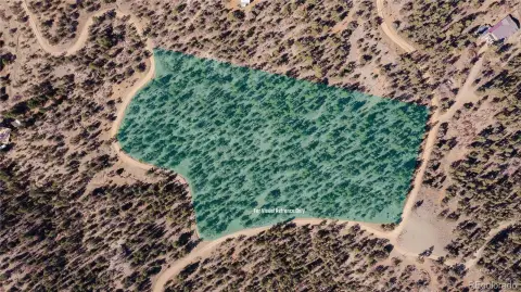 Treed Land with Mountain Views