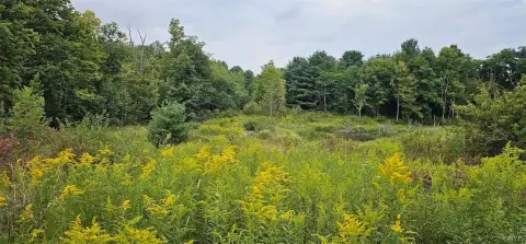 Wooded Agricultural Land with Beaver Pond