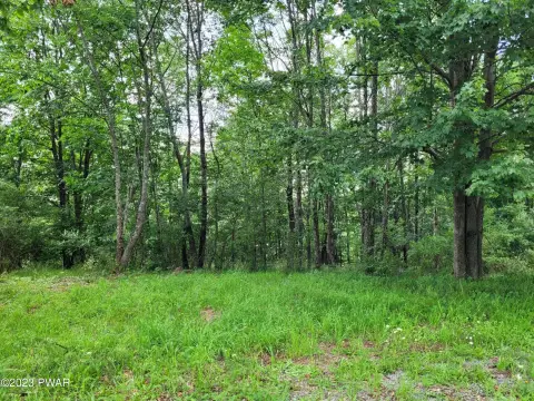 Residential Land in Honesdale, PA