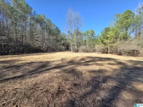 Vacant Land in Walker County