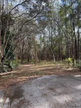 Hernando, FL 1.2 Acre Land
