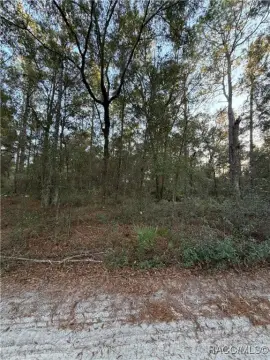 Dunnellon Land Near Ross Prairie