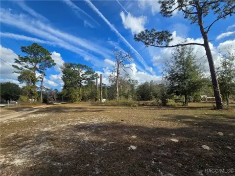 Crystal River Acre with Utilities