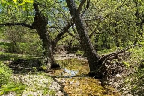 Gainesville Ranch with Panoramic Views