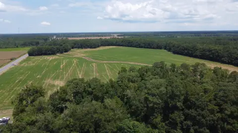 65 Acres Farmland and Timber