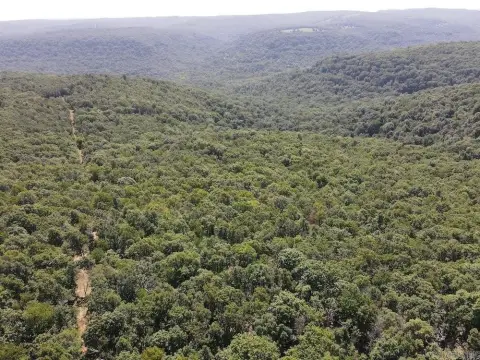 Ozarks Hunting Land with Timber