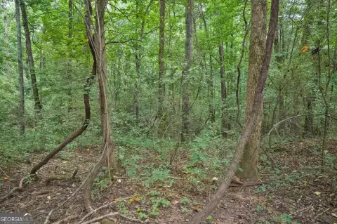5-Acre Residential Home Lot