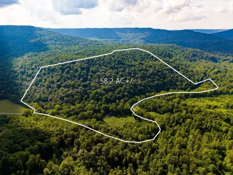Waterfront Hunting Land with Mature Trees