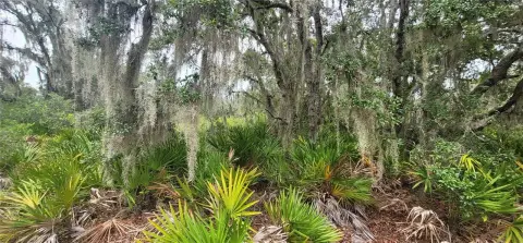Residential Development Lot