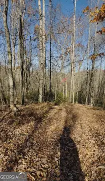 Land in Sautee Nacoochee, GA