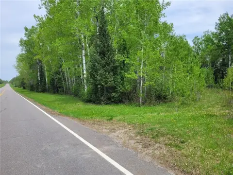 Hunting Land with Varied Timber