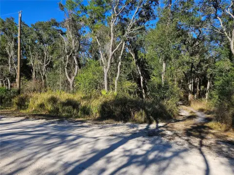 Wooded Lot For Dream Home