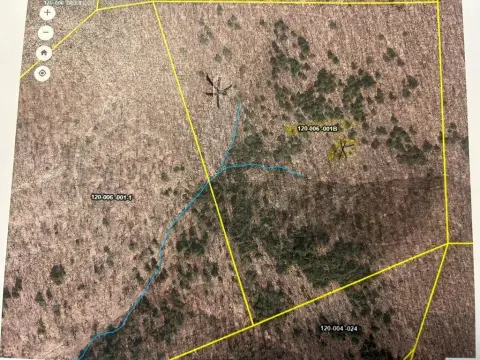 Wooded Recreational Land with Mineral Rights