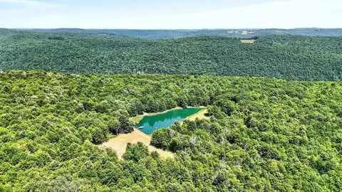 Recreational Hunting Land with Ponds