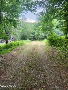 Wooded Hunting Land with Private Lane