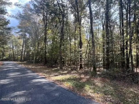 Pelahatchie Homesite Near Lake