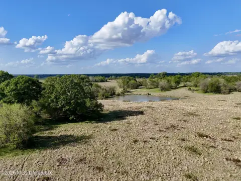 Versatile Acreage Near Flora, MS