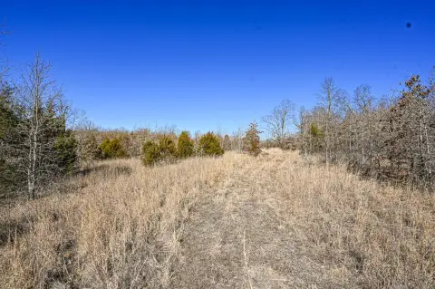 50 Acres of Howell County Land