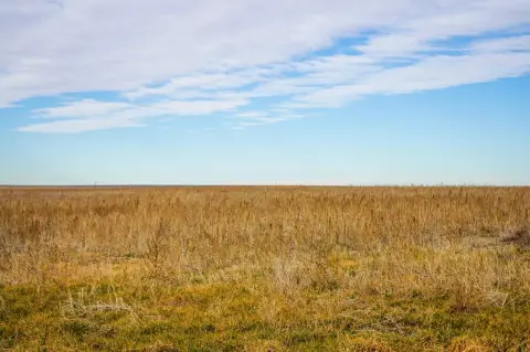 Farmland with Wheat Crop Rights