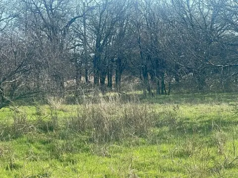 Texas Ranch with Pond and Trees