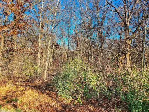 Lake Carroll Vacant Lot