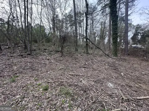 Wooded Lot Near Lake Allatoona