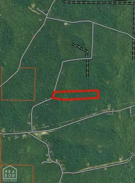 Unrestricted Hunting Land Tract