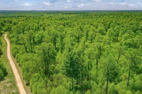 Forested Recreation Land
