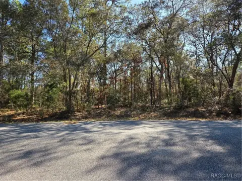Residential Land in Citrus Springs