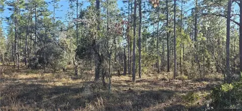 Dunnellon, FL One-Acre Lot