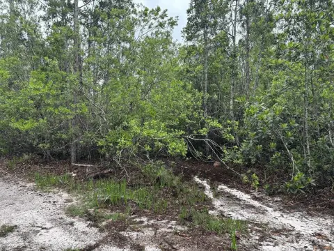 Recreational Land in St. Cloud