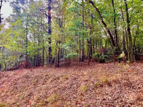 Ellijay Vacant Lot Near Golf