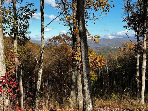 Mountain & Lake View Lot