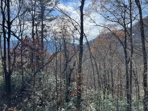 Hiawassee GA Wooded Vacant Lot