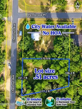 Wooded Land Parcel
