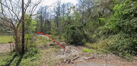 Vacant Land in New Port Richey