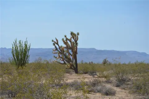 High Desert Land With Mountain Views