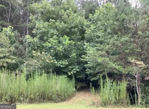 Ellijay, GA Wooded Lot