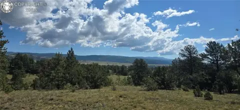 Agricultural Land with Forest Boundary