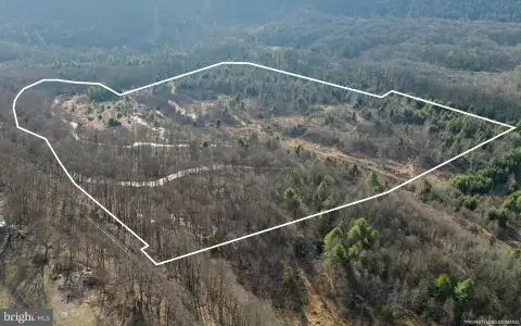 Hunting Land with Creek Frontage