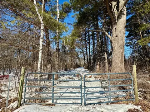 20 Acres Hunting/Recreation Land