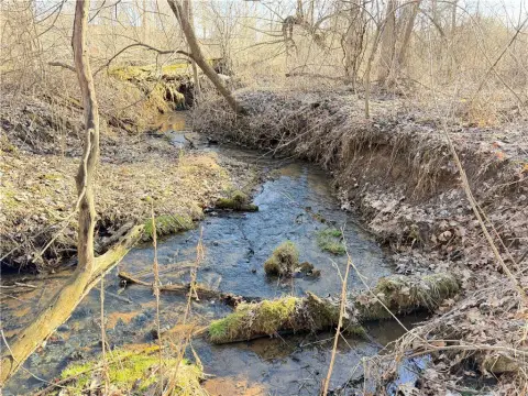 30 Acres Overlooking Mississippi River