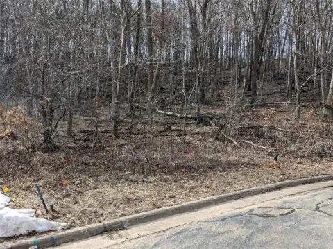 Wooded Lot in Princeton Valley